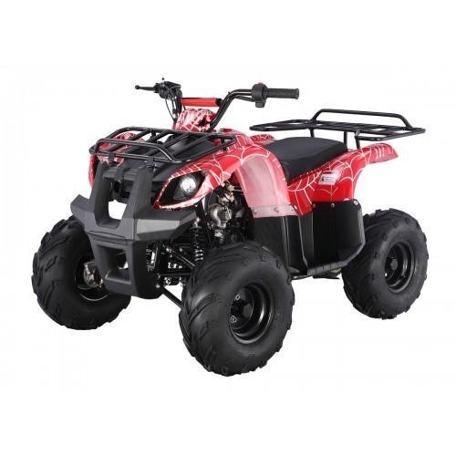 Tao Motor D125 Kids ATVs